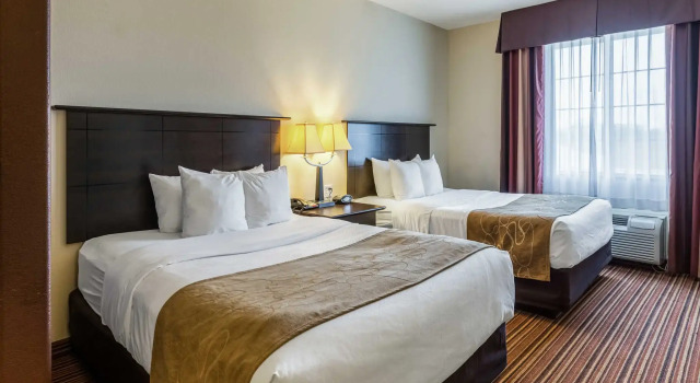 Номер Standard Comfort Suites Alexandria North