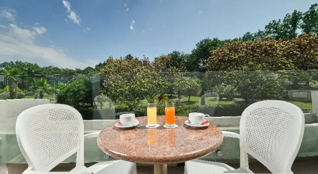 Двухместный номер Standard с балконом и с видом на парк Hotel Mediteran Plava Laguna