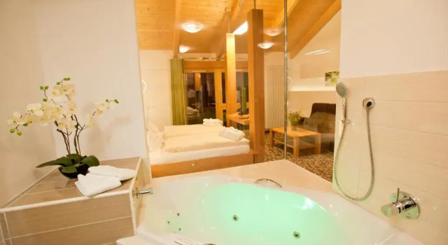 Двухместный номер Standard Hotel und Appartementhof Waldeck