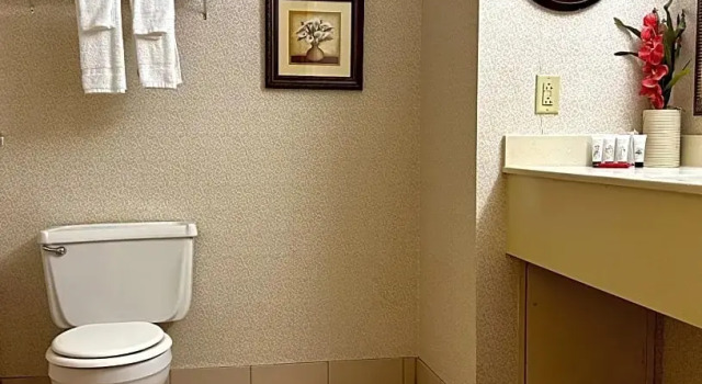 Двухместный номер Standard с балконом Red Lion Hotel Harrisburg Hershey
