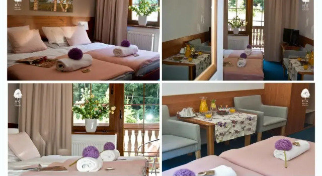 Двухместный номер Standard Hotel Górski Czarna Góra