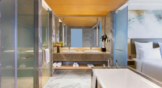 Номер Superior Novotel Jaipur Convention Centre