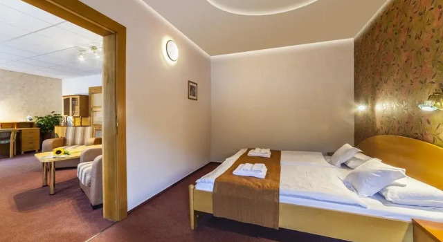 Flora, Rezervovat Hotel Trencianske Teplice Trenčiansky kraj