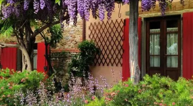 La Corte del Falco, Book Hotel Pieve a Nievole Toscana