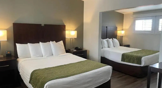 Четырёхместный номер Standard Hi View Inn & Suites