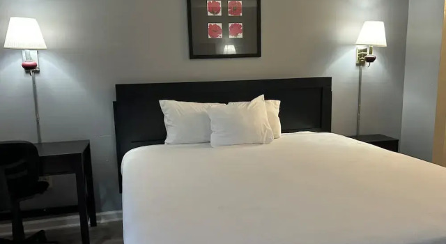 Номер Standard Suni's Place