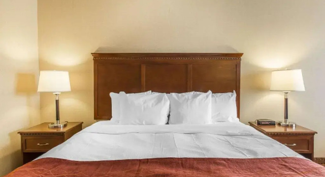Номер Deluxe Comfort Hotel Airport