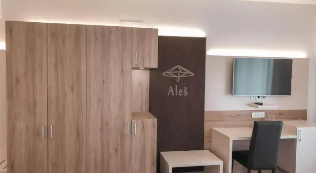 Номер Standard Hiša Aleš