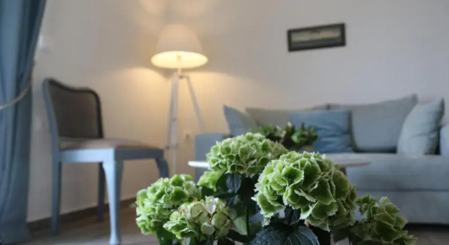 Семейный номер Deluxe Lidea Boutique Hotel