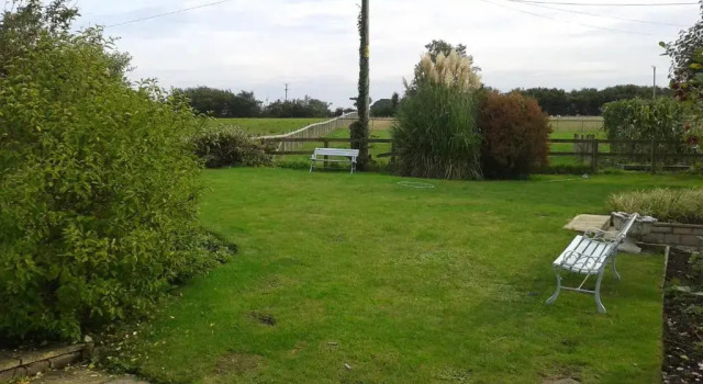 Студия Yew Tree View