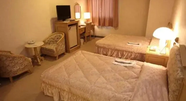 Номер Economy Nogami President Hotel