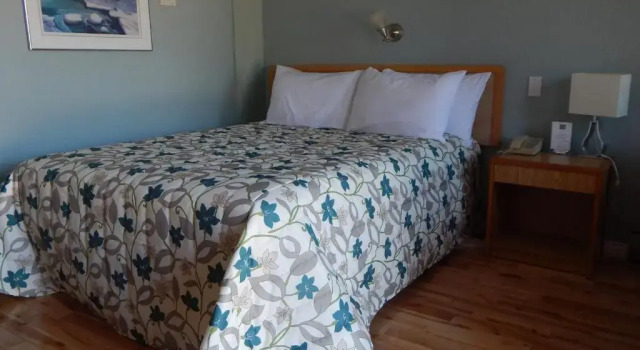 Standardowy jednoosobowy pokój Complexe Hotelier Pelchat