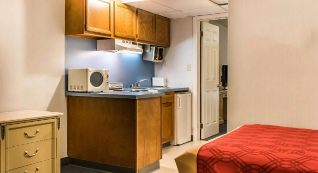 Люкс c 1 комнатой Econo Lodge Inn & Suites Lake Harmony - Pocono Mountains Area