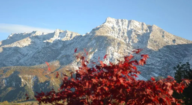 Номер Standard Al Brenta