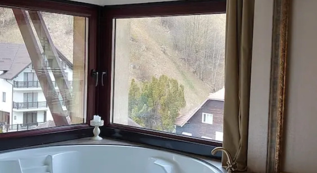 Двухместный номер Deluxe с балконом Pensiunea Vlahia Inn
