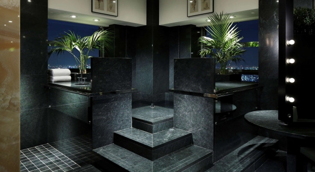 Park Hyatt Tokyo