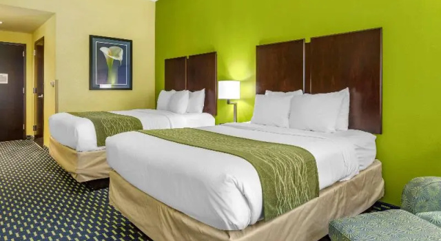 Четырёхместный номер Standard Comfort Inn Athens I - 75