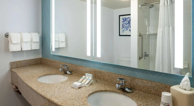 Номер Standard Hilton Garden Inn Chicago OHare Airport