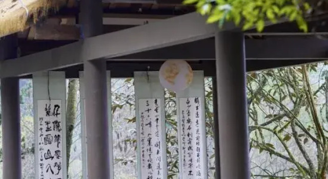 Jingshan Zhidu Forest Hot Spring B&B (Qingcheng Back Mountain Scenic Area Branch)