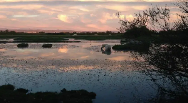 Isola della Cona - Riserva naturale Foce dellIsonzo, Забронировать Мини-отель Старанцано Венеция-Джулия