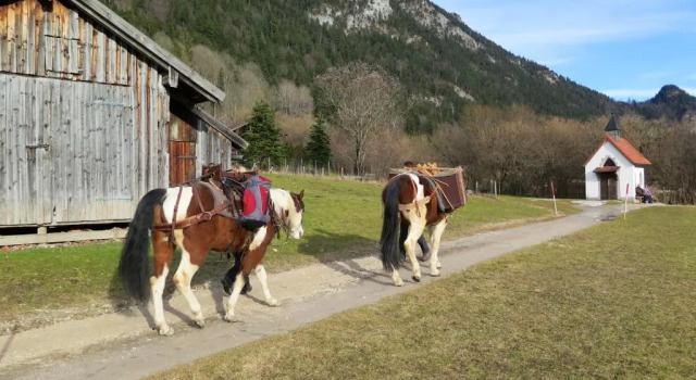 Dreimäderlhaus am Berg, Varaa Hotelli Pfronten Ostallgaeu, lähellä Breitenbergbahn