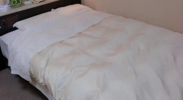 Номер Standard Tsuyama Central Hotel Townhouse