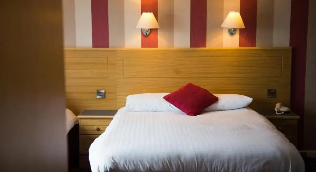 Двухместный номер Standard Viking Hotel