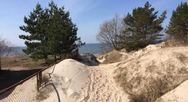Апартаменты Apartment in the dunes
