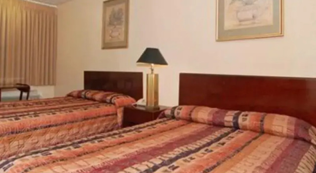 Junior-Suite Econo Lodge Jasper