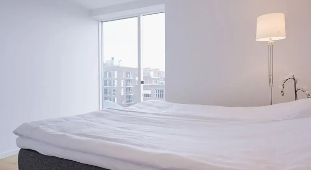 An Amazing 3-Bedroom Apartment with Authentic Danish Designers Furniture