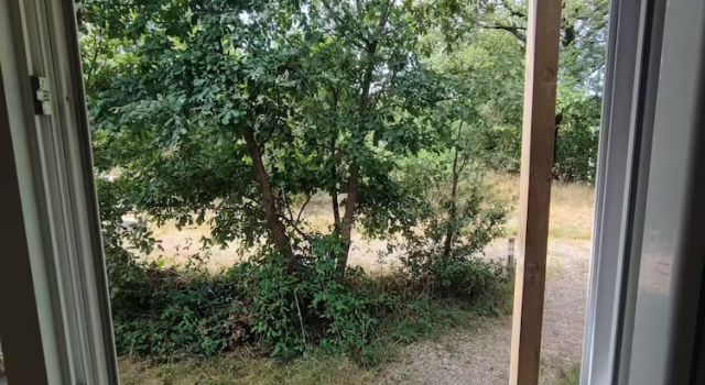 Confort chambre 1 chambre Vue jardin Studnature