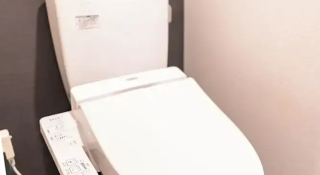 Номер Superior Lite House Dotonbori