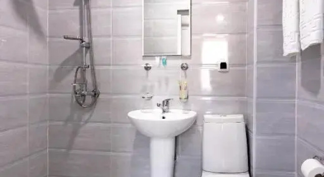 Номер Standard Hotel Caucasus Borjomi
