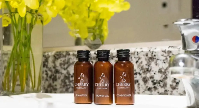 Номер Premium Cherry Central Hotel- Near Opera House