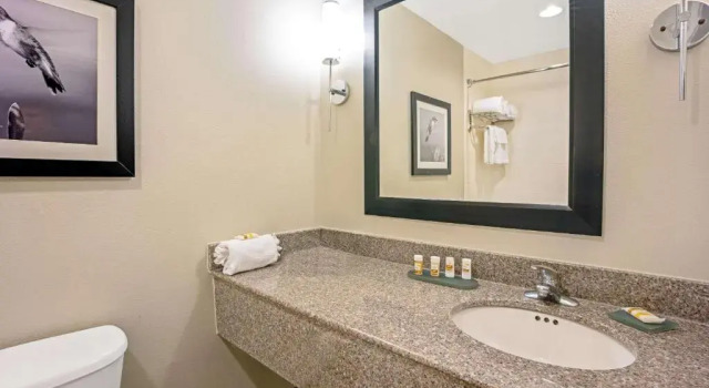 Двухместный номер La Quinta Inn & Suites by Wyndham Houston North-Spring