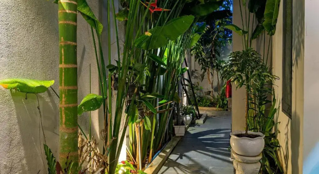 Вилла Deluxe Aroma Garden Suites Hoi An