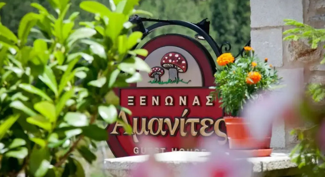Amanites Guesthouse, Book Hotel Dhimitsana Arcadia Regional Unit