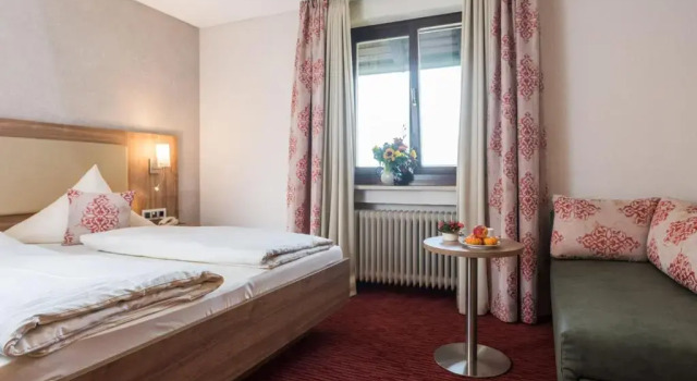Двухместный номер Standard Hotel Stegner