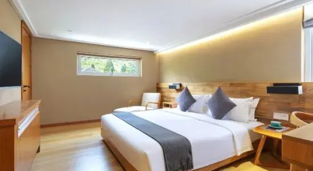 Люкс Movespring Hotel