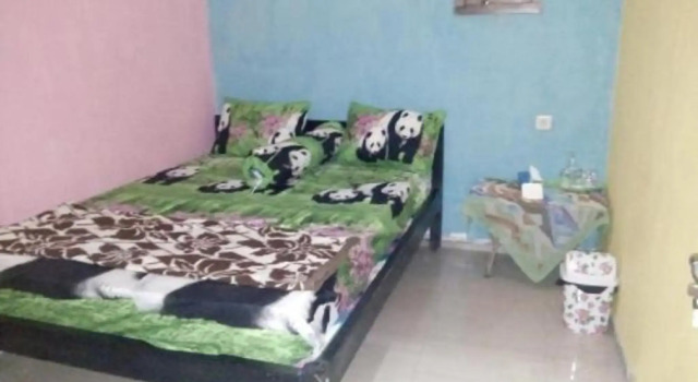 Кровать в общем номере Yunior Guesthouse