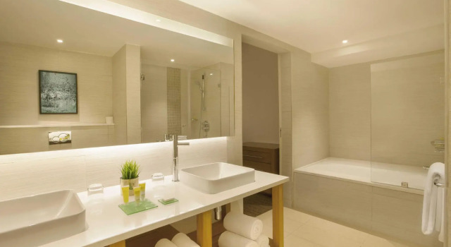 Двухместный люкс Hyatt Place Hyderabad Banjara Hills