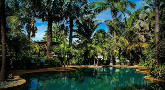 The Caribbean Resort Bird of Paradise - One Bedroom One Bath, Забронировать Курортный отель Айламорада Флорида-Кис, рядом с History of Diving Museum