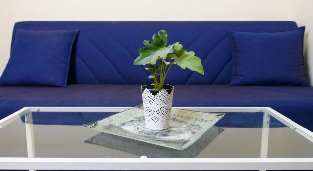 Номер Standard Nahalat Yehuda Residence