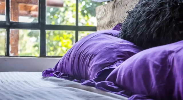 Runda Lofts, Varaa Hotelli Runda Nairobi