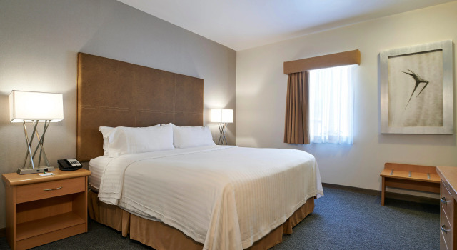 Holiday Inn Hotel & Suites Chihuahua, an IHG Hotel, Prenota Hotel Hotel a Chihuahua con colazione, Colazione