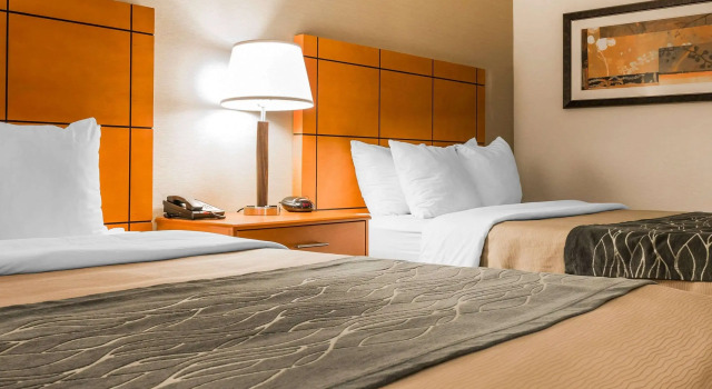 Четырёхместный номер Standard Comfort Inn Metro Airport