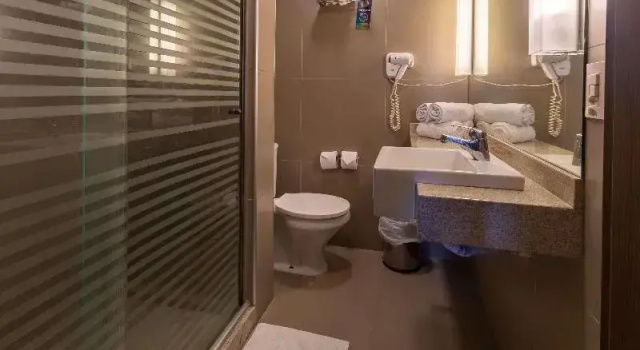 Двухместный семейный номер Standard Novotel Manaus