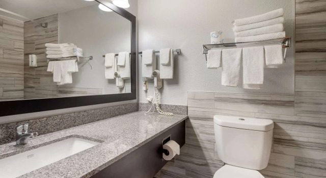 Двухместный люкс Business Quality Inn & Suites Mayo Clinic Area