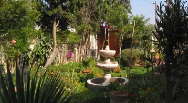 Villa Flora