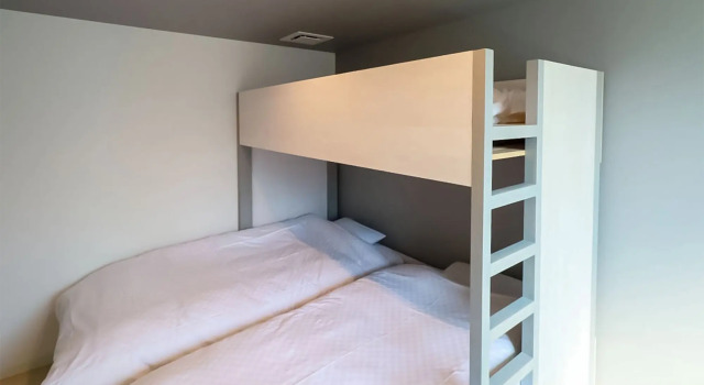 Люкс Iwatoyama Hostel